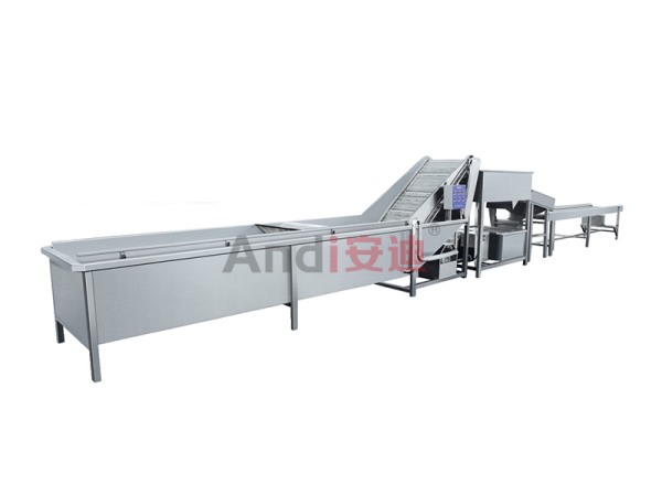 草莓清洗流水线