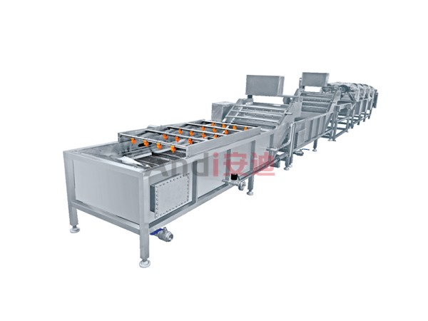 大枣清洗风干流水线