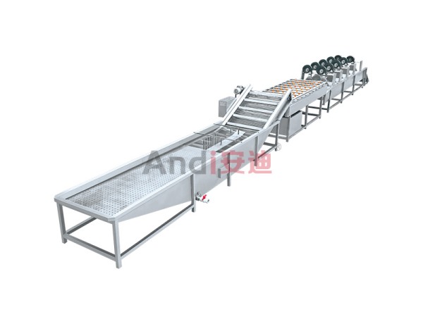 大姜-土豆-山药清洗线